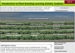 Screenshot of soybean animated lesson and link