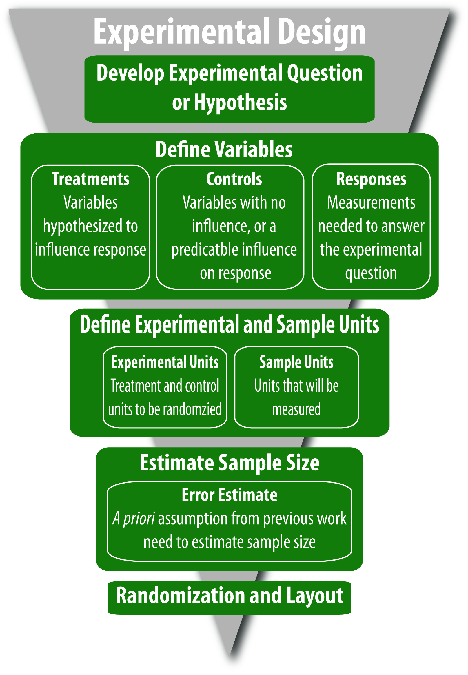 experimental design