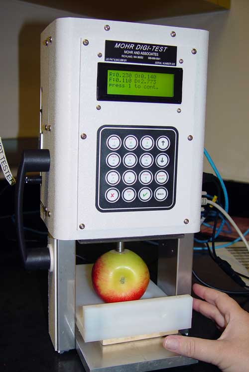 Apple firmness being tested by a Mohr Digi-Test